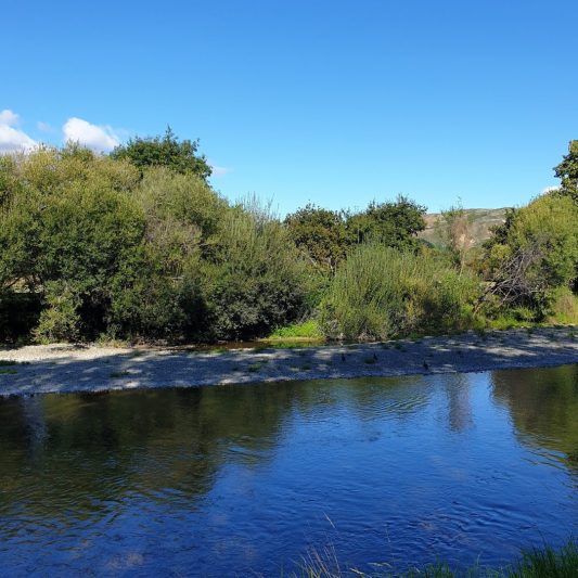 Waikanae River on the Te Araroa Trail