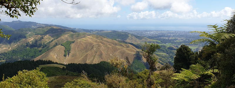 Parata Track Lookout View to South Island