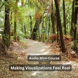 Audio mini course on Making Visualizations Feel Real